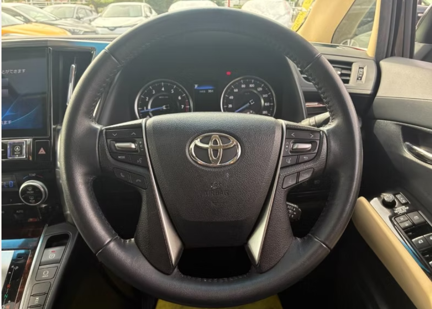 2019 TOYOTA ALPHARD X photo 10
